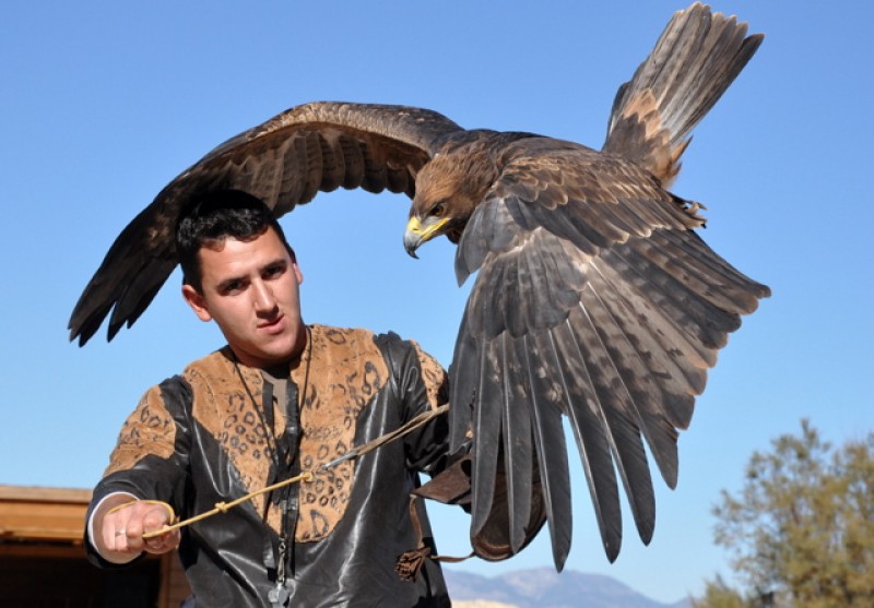 <span style='color:#780948'>ARCHIVED</span> - December 1st; Falconry in Lorca castle