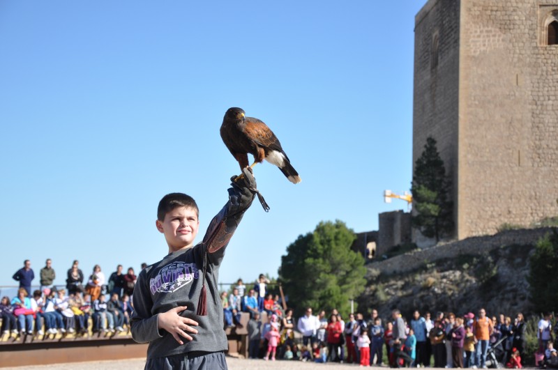 <span style='color:#780948'>ARCHIVED</span> - December 1st; Falconry in Lorca castle
