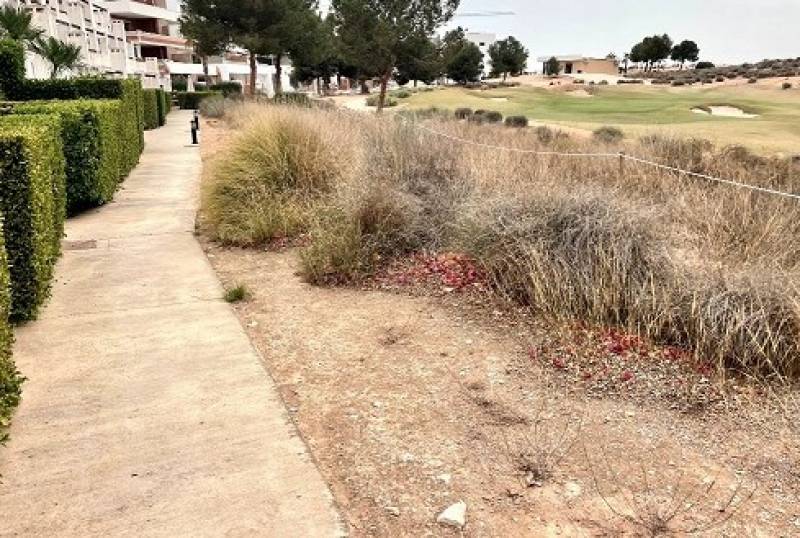 Condado de Alhama community and golf course take steps to smarten up perimeter pathway