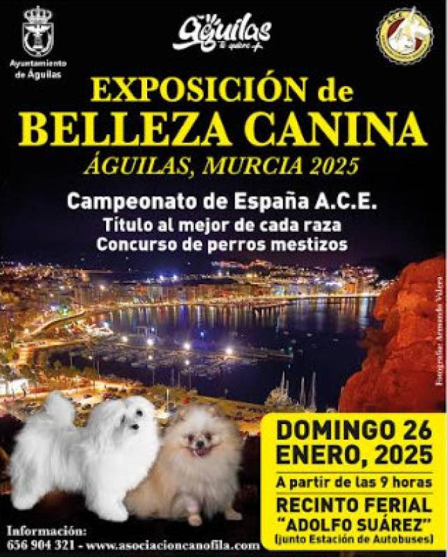 January 26 Dog show in Aguilas