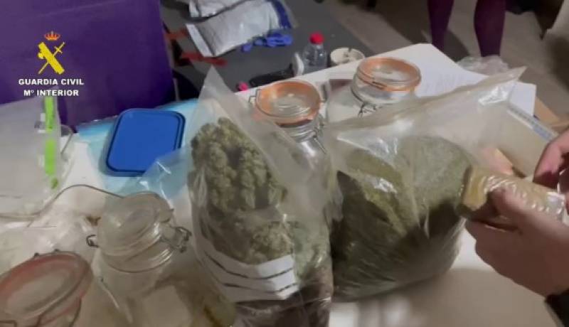British nationals among 17 arrested as Guardia Civil shuts down cannabis clubs in Vega Baja