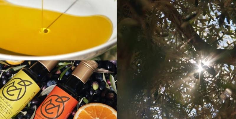 Discover the liquid gold that is the olive oil of the Region of Murcia!