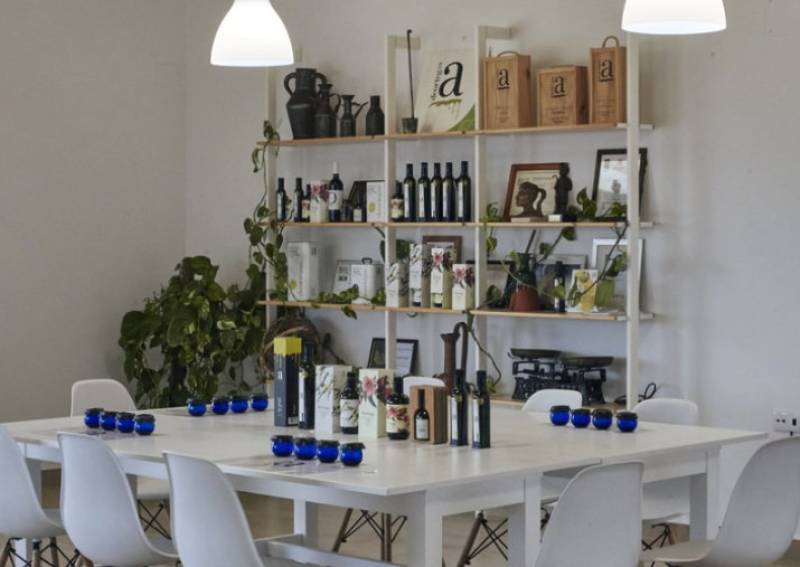 Discover the liquid gold that is the olive oil of the Region of Murcia!