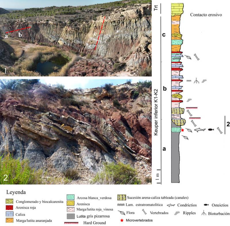 Feast of pre-Jurassic fossils found in Alicante province 