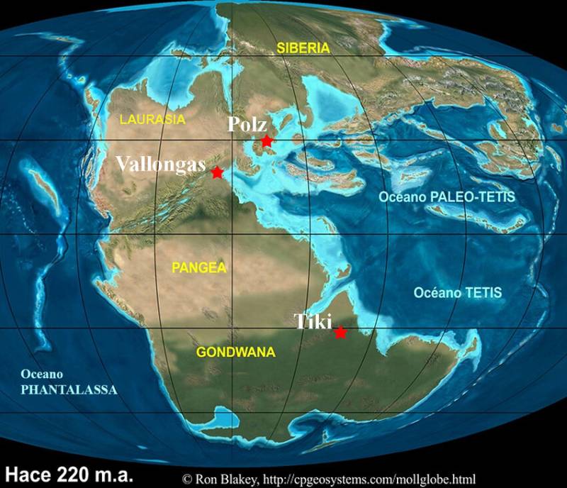Feast of pre-Jurassic fossils found in Alicante province 