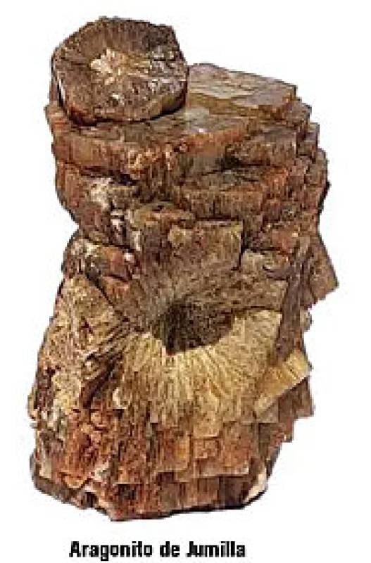 July 4 to August 3 Geology exhibition in Jumilla