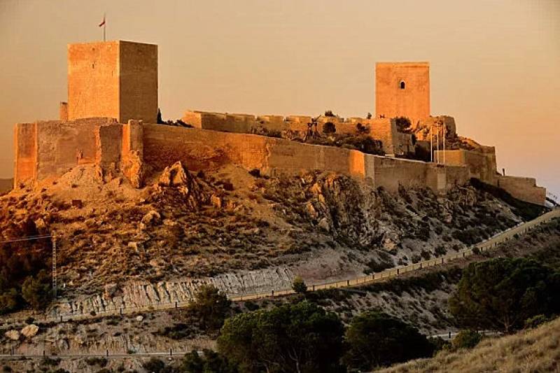 The best places in Murcia to watch the Perseid meteor shower shooting stars