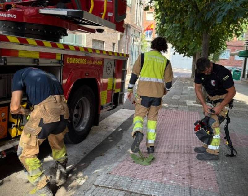 Spain's fire season winds down after worst wildfire crisis in decades