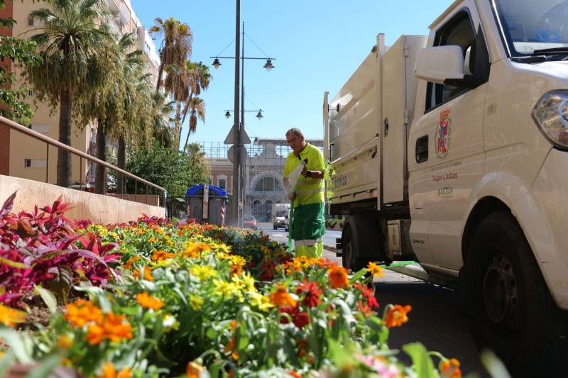 Cartagena blooms for Carthaginians and Romans festival with 12,000 new plants