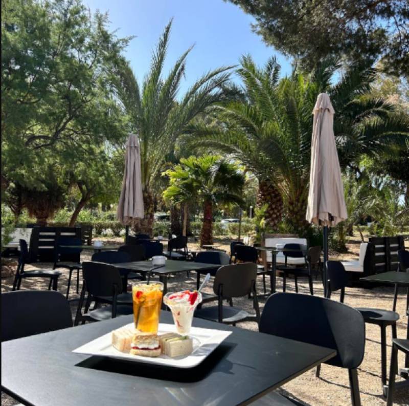 Hello November at La Palmera Bar & Grill