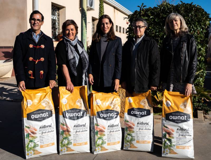 Málaga's street cats get a Christmas boost from the Ayuntamiento