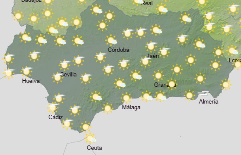 Andalucía weekly weather forecast Feb 23-26: Sunshine, gentle breezes and springlike warmth