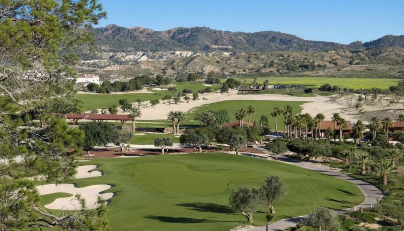 Living better starts here: Altaona, Europe's first residential longevity concept in Murcia 