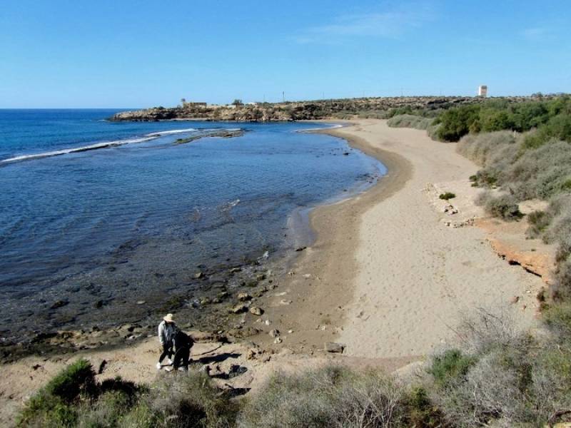 May 31 Free guided walk on the Cocedores Blue Trail in Águilas