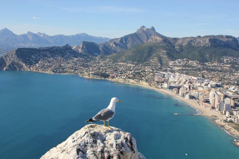 Alicante's foreign tourism income surges to €1.882 billion in the first quarter