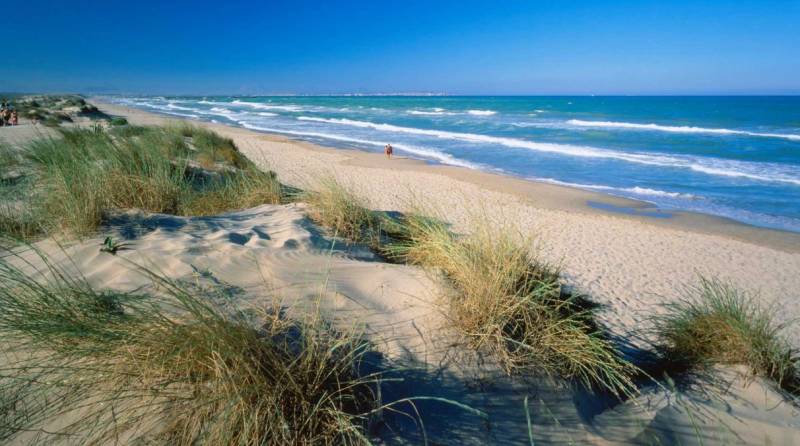 Two tourists drown at Guardamar beach after entering sea under red flag