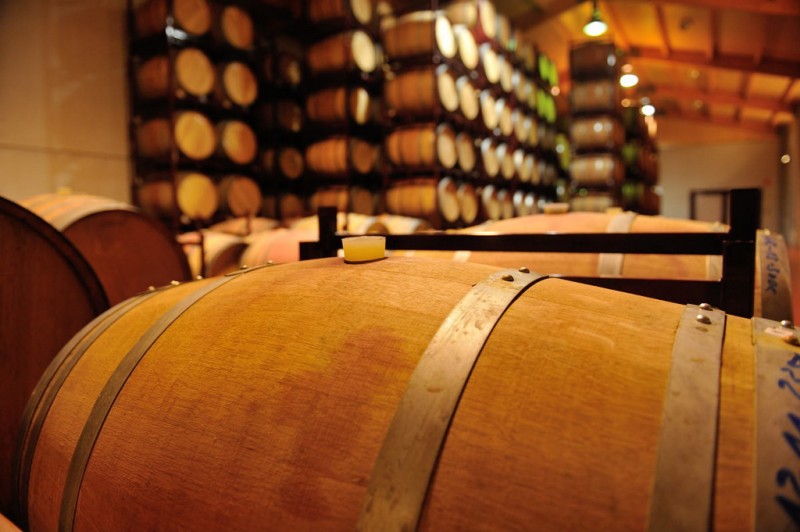 Bodegas Barahonda winery affiliated to the Yecla Wine Route